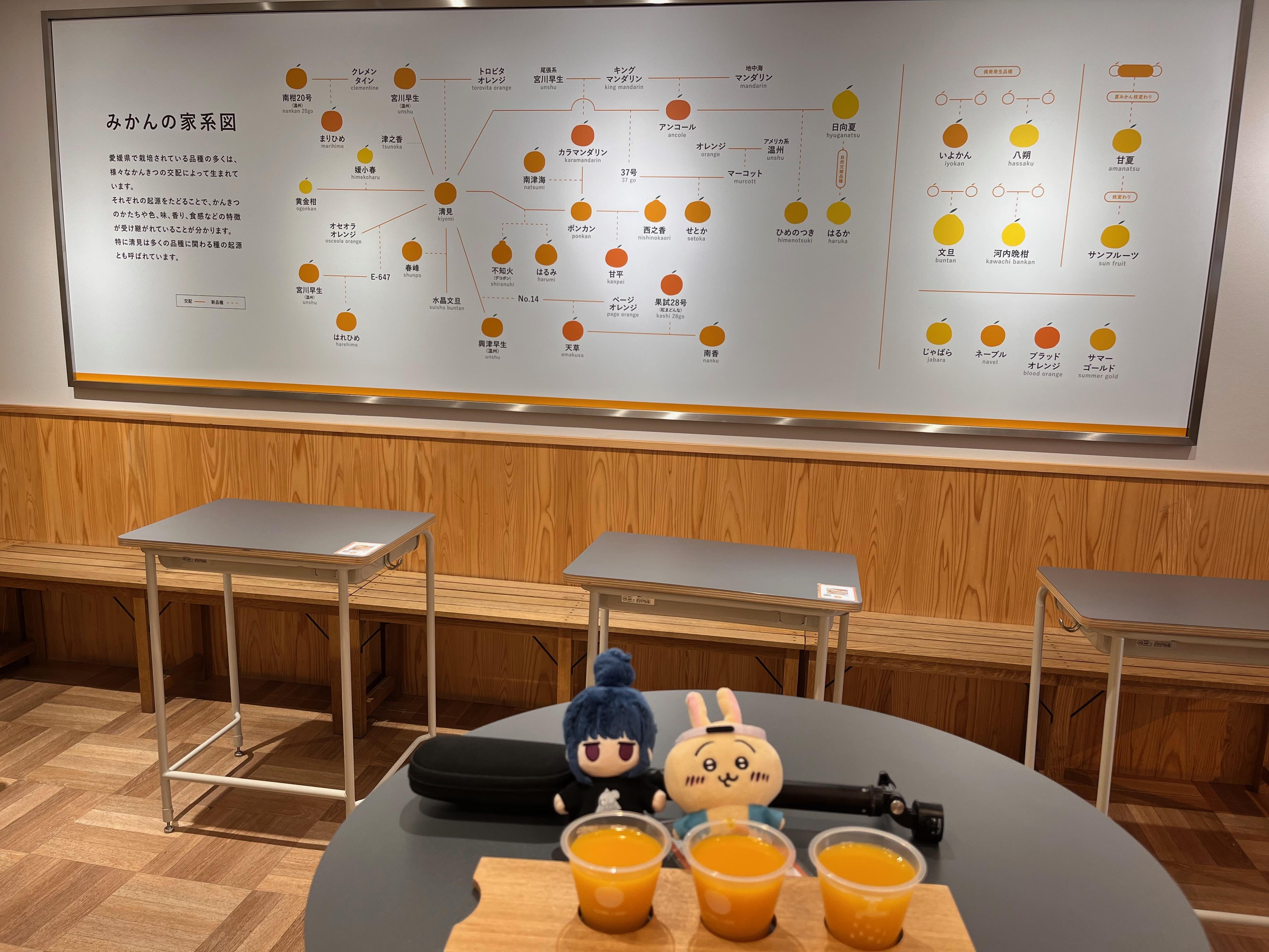 orange-juice